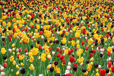 《合金装备3：重制版》制作人还将考虑很多其它游戏